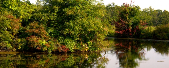 _DSC0900