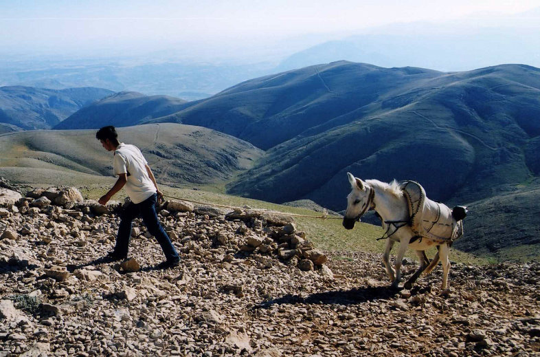 Turkey_Nimrut002-1