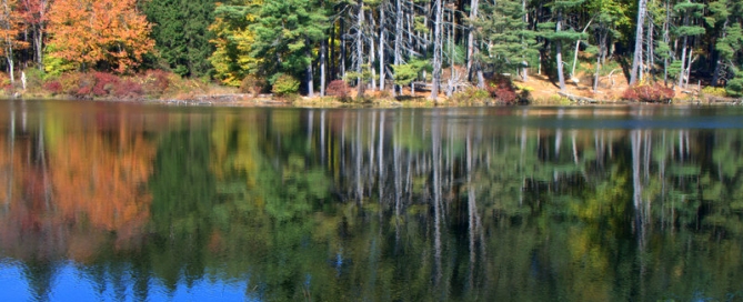 _DSC0813