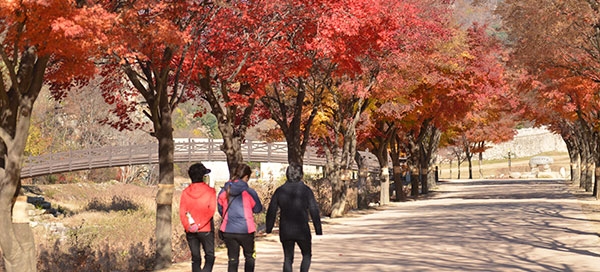2013111302470_0