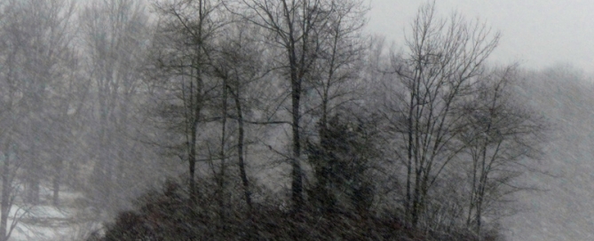 L1030228-001